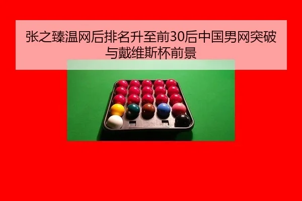 张之臻温网后排名升至前30后中国男网突破与戴维斯杯前景